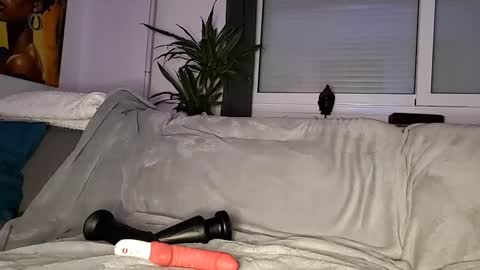 Snapshot of amelange chatting on March 2025 11:38:02 PM amelange online show from March 2025 11:38:02 PM