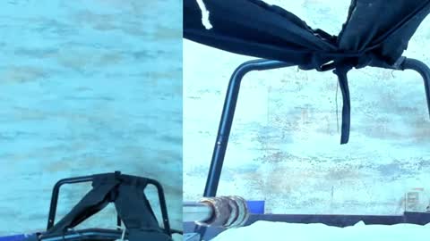  AMELIA.  online show from January 2025 07:50:02 PM