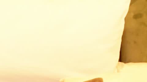 Amelia online show from January 2025 06:06:01 AM