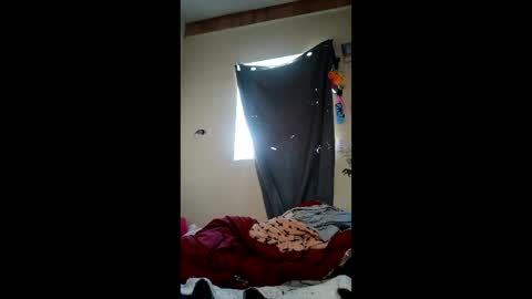 amileamariestar online show from February 2026 06:45:01 PM