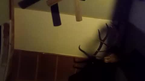 ammoman22 online show from March 2025 05:55:02 AM