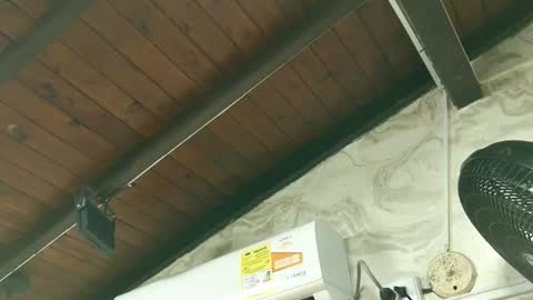 amy_greenee online show from March 2026 11:34:02 AM