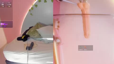  Amy  nickname Kirby online show from March 2025 10:09:02 PM