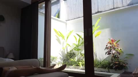 Snapshot of amyalwayshere chatting on March 2025 07:54:01 AM girl next door named Amy online show from March 2025 07:54:01 AM