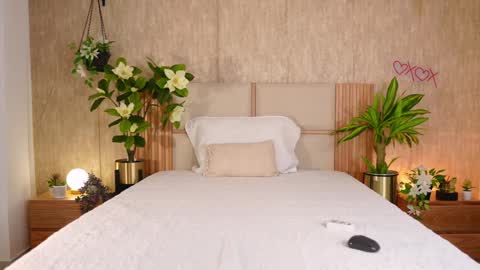 Snapshot of ana_maria11 chatting on December 2025 03:35:01 AM Ana online show from December 2025 03:35:01 AM