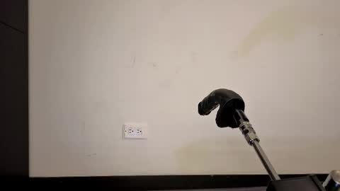 Anabel Alice Gandara online show from May 2026 05:31:02 PM