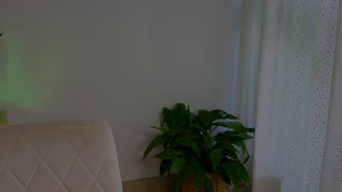 anabelcurvy online show from May 2026 06:38:02 PM