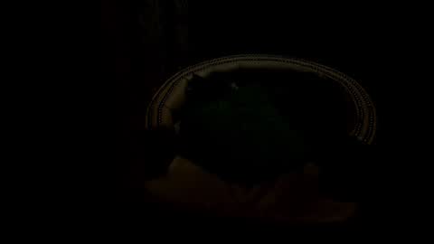 analia18  online show from January 2025 06:33:02 PM