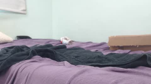 AnalKing online show from October 2025 10:43:02 PM