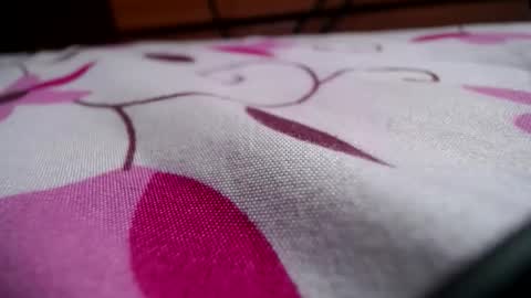 analsp online show from January 2026 11:26:01 AM