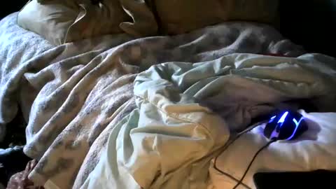 Snapshot of analwhore666 chatting on January 2025 04:53:01 PM kinkylilanalslut online show from January 2025 04:53:01 PM