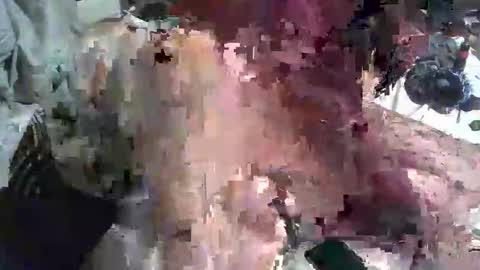 Snapshot of analwhore666 chatting on January 2025 11:37:02 AM kinkylilanalslut online show from January 2025 11:37:02 AM