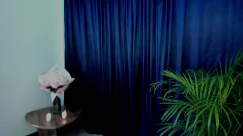 Snapshot of anamarieh chatting on February 2025 05:15:01 PM Ann online show from February 2025 05:15:01 PM