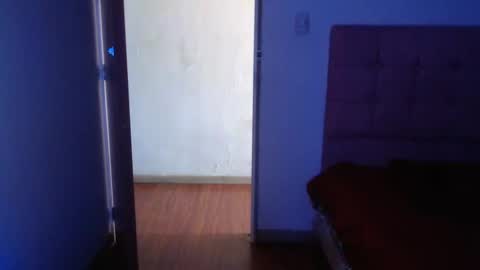 ANA online show from December 2024 03:42:01 PM