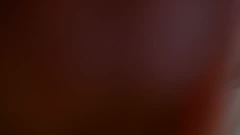 Snapshot of anddres_boss chatting on December 2024 04:57:01 PM Tell Me ANDRESS ----- online show from December 2024 04:57:01 PM