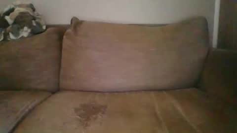 Snapshot of andellus chatting on February 2025 11:51:02 AM andellus online show from February 2025 11:51:02 AM