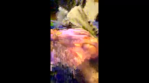 Snapshot of andrefeetlover11849 chatting on December 2025 06:36:02 PM andrefeetlover11849 online show from December 2025 06:36:02 PM