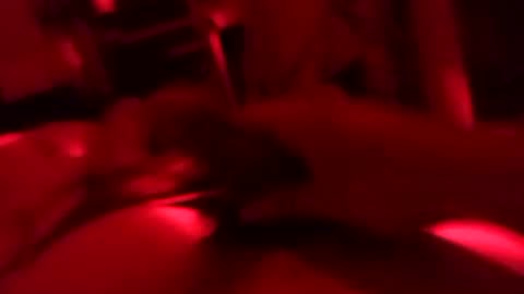 Snapshot of andres200603 chatting on March 2026 07:02:02 AM andres200603 online show from March 2026 07:02:02 AM