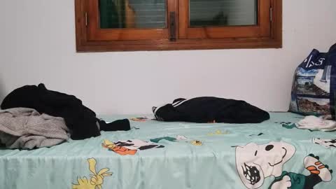 Snapshot of andreudickhard91 chatting on December 2024 08:31:02 PM Andreu online show from December 2024 08:31:02 PM