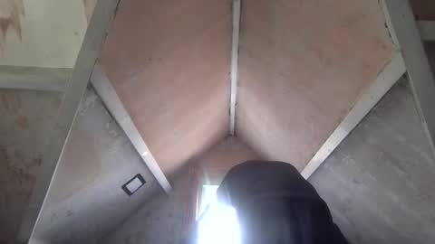 Andrew online show from April 2026 01:23:01 PM