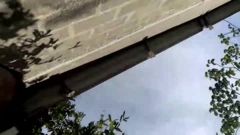 Snapshot of andrew_sanders_ chatting on September 2025 08:30:02 PM andrew online show from September 2025 08:30:02 PM