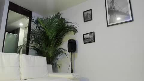 Andrew Johnson online show from January 2025 09:37:01 PM