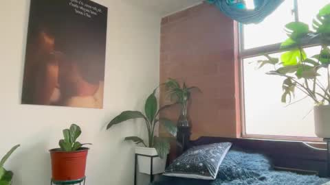 Andy online show from February 2026 01:09:02 PM