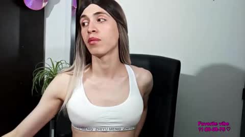 Snapshot of andy_vander chatting on February 2026 08:55:01 AM Andy van der Rose online show from February 2026 08:55:01 AM