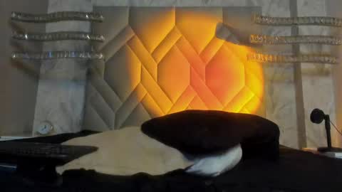 andy palmer online show from January 2025 09:48:02 AM