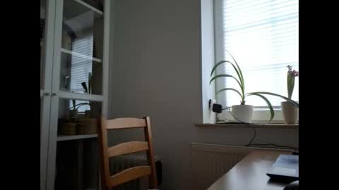 Snapshot of andypsilon88 chatting on January 2025 08:29:02 AM ShortyfromS online show from January 2025 08:29:02 AM