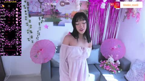          online show from December 2024 05:10:02 PM