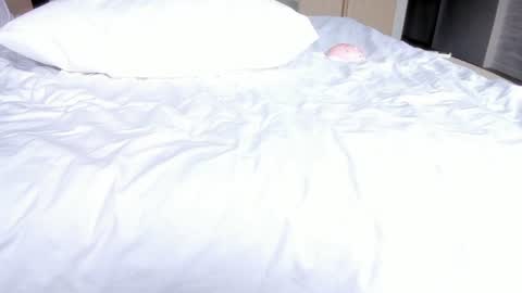 angel_andreww online show from July 2026 06:33:03 AM