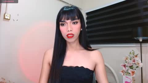 SENORITA online show from December 2025 11:00:02 PM