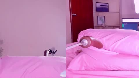 Angeli  online show from February 2025 03:21:01 AM