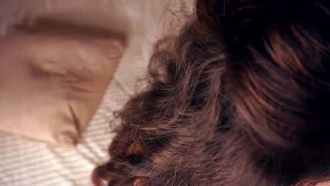 Angelica online show from January 2025 10:40:02 AM