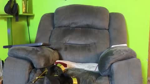 Snapshot of angelinasia chatting on February 2026 02:24:02 PM Angel online show from February 2026 02:24:02 PM