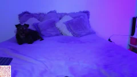 Angie Gomez  Onlyfans angie bigboobs FREE online show from April 2026 11:28:01 PM