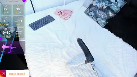 Snapshot of angiee_roses chatting on December 2024 08:02:02 AM angiee roses online show from December 2024 08:02:02 AM