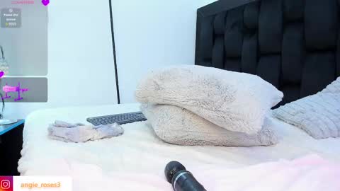 Snapshot of angiee_roses chatting on March 2025 02:32:01 AM angiee roses online show from March 2025 02:32:01 AM