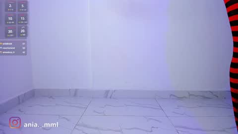 Snapshot of ania_mml chatting on February 2025 11:36:02 PM Ania online show from February 2025 11:36:02 PM