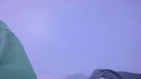 Animeboygirls online show from February 2026 05:39:01 AM