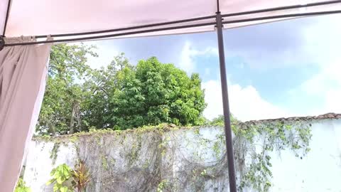 Anna online show from December 2024 04:25:01 PM