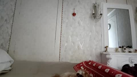 Anna online show from December 2025 06:23:01 AM