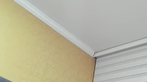       online show from March 2026 12:45:01 AM