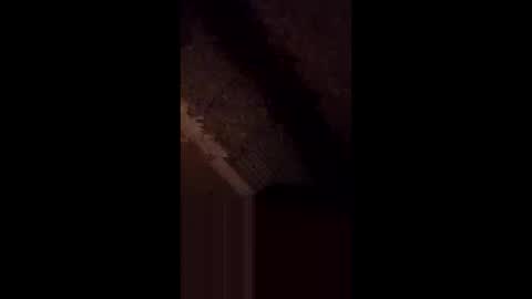 Snapshot of anniebunni chatting on February 2026 05:36:02 AM anniebunni online show from February 2026 05:36:02 AM