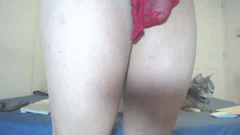  INDEPENDENT MODEL next srteam 240624 online show from July 2026 06:43:02 PM
