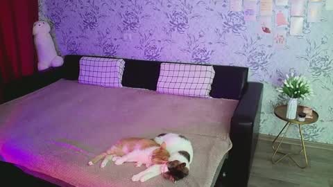 Annie online show from December 2024 04:23:02 AM