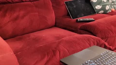 Snapshot of anonycock7 chatting on February 2026 12:05:02 PM D online show from February 2026 12:05:02 PM