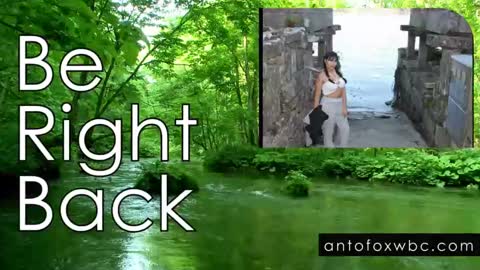 Snapshot of antofoxwbc chatting on January 2025 10:53:02 AM Anto online show from January 2025 10:53:02 AM