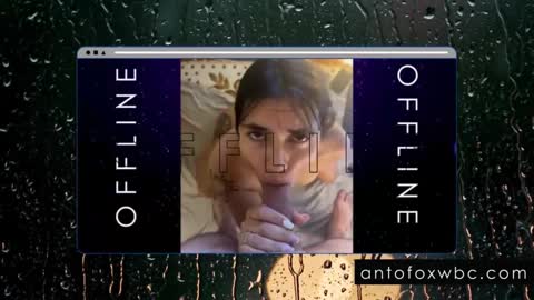 Snapshot of antofoxwbc chatting on February 2025 05:53:02 AM Anto online show from February 2025 05:53:02 AM
